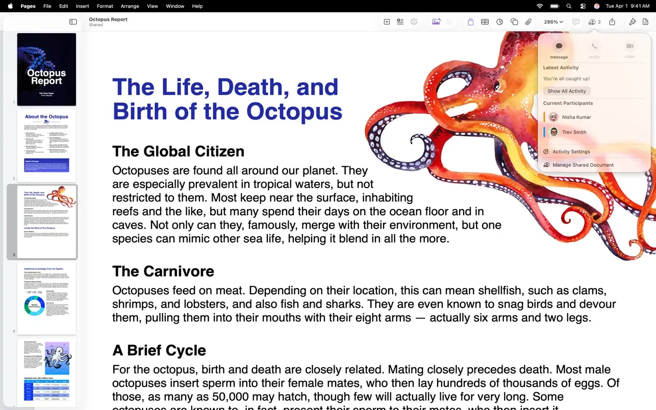 Pages Creator Studio screenshot 5